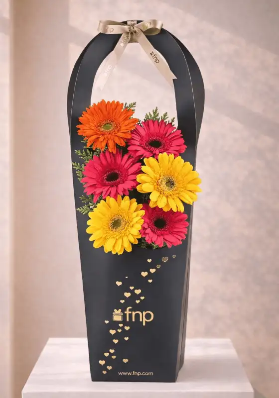 Gerberas